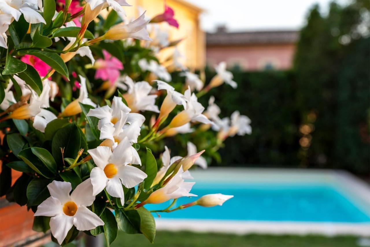 Albergo Ristorante Il Terziere 特雷维 外观 照片